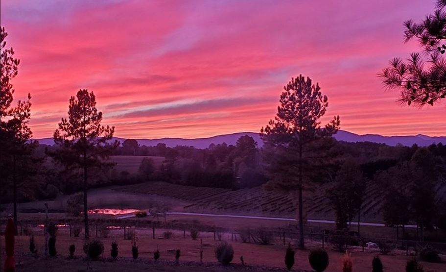 Music at Mountain Brook Vineyards