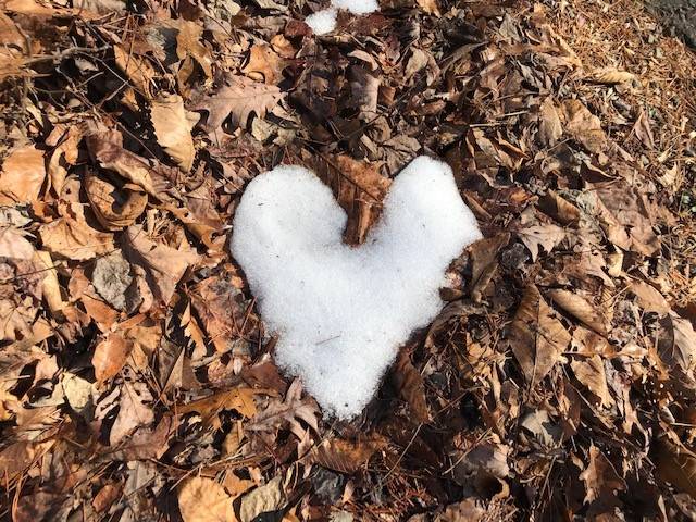 snow heart