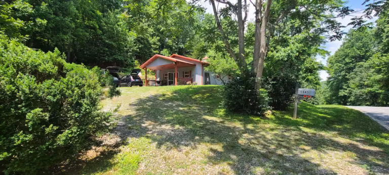 Saluda Getaway Cabin Driveway View
