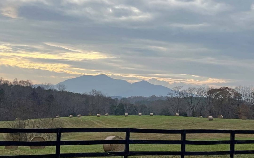 This Week at the First Peak – Events for Nov 26-Dec 2, 2025
