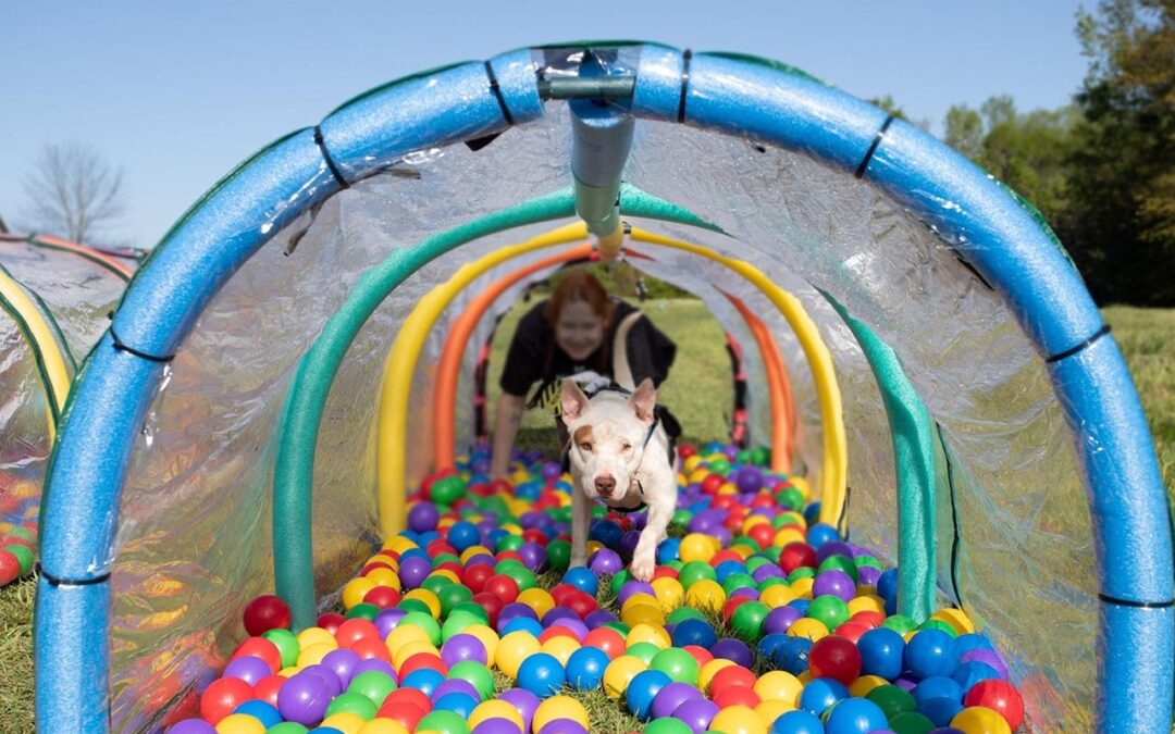 This Week at the First Peak – Events for April 8-14