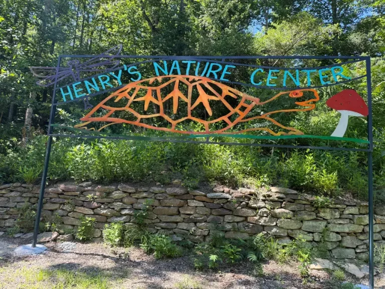 Saluda, NC