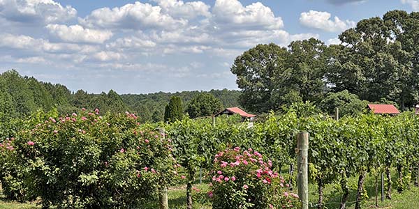 This Week at the First Peak – Events for Sept. 16-22